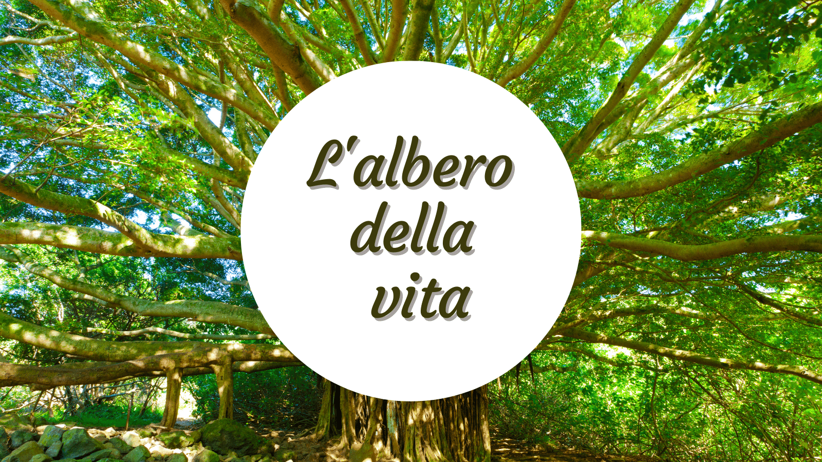 L'albero Della Vita - Flores Gioielli