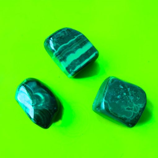 Malachite burattata
