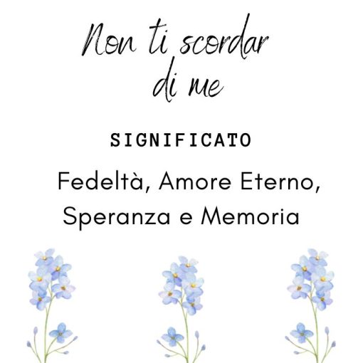 Collana in argento con ciondolo Non ti Scordar di Me